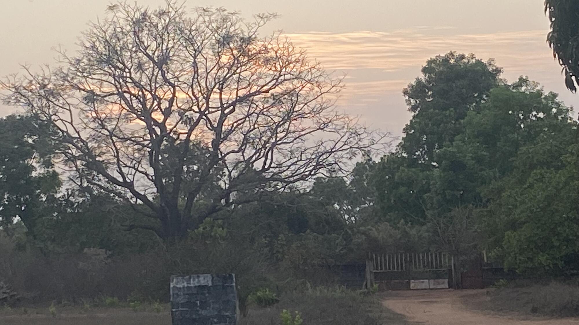 Entrada